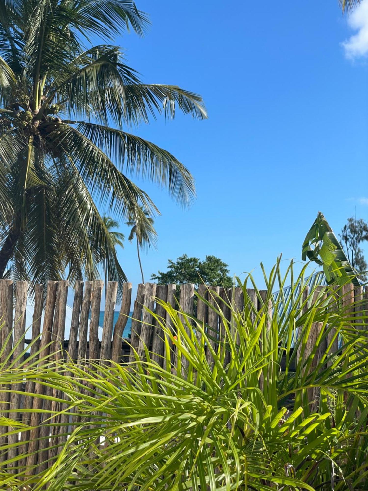 Bed and Breakfast Maison Boheme Nungwi Exterior foto